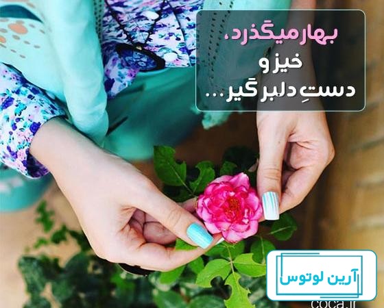 عکس پروفایل بهاری زیبا و با بهترین کیفیت | جدول یاب