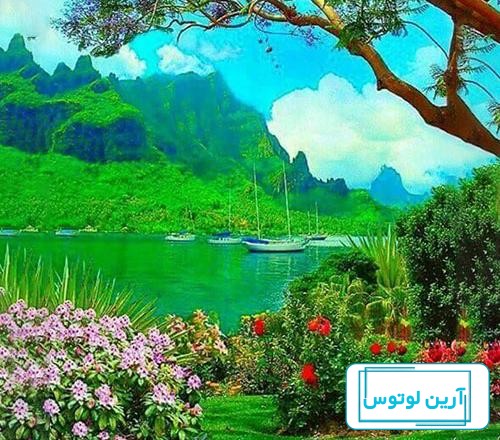 عکس پروفایل بهاری زیبا و با بهترین کیفیت | جدول یاب
