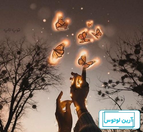 عکس پروفایل جدید امسال دخترانه 2024؛ که هیاهوی عجیبی دارد با فیگورهای  متنوع! - گـُـ✿ـلـی مُــــב