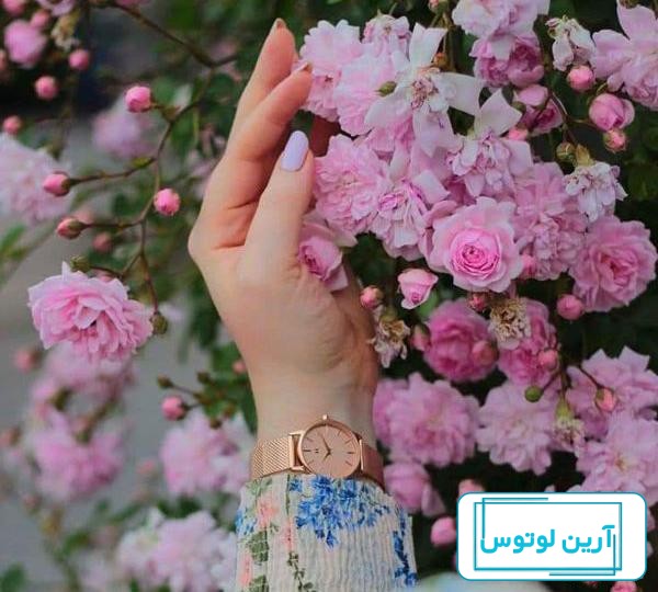 عکس پروفایل جدید امسال ساده