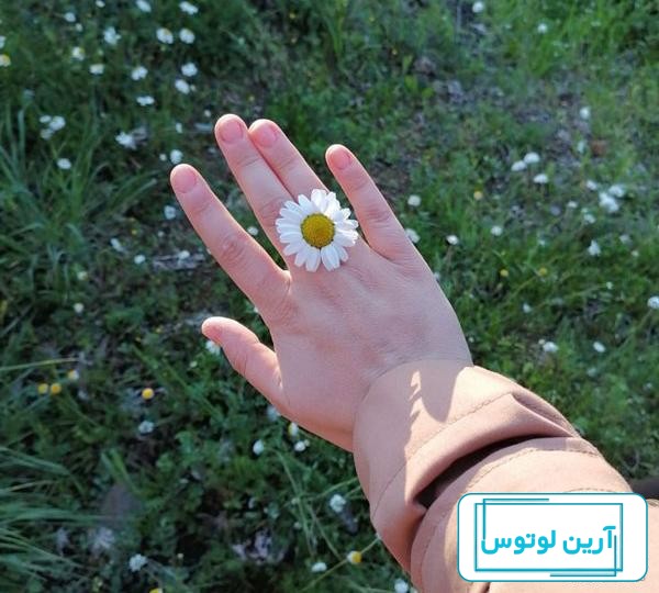 عکس پروفایل جدید امسال گل با متن