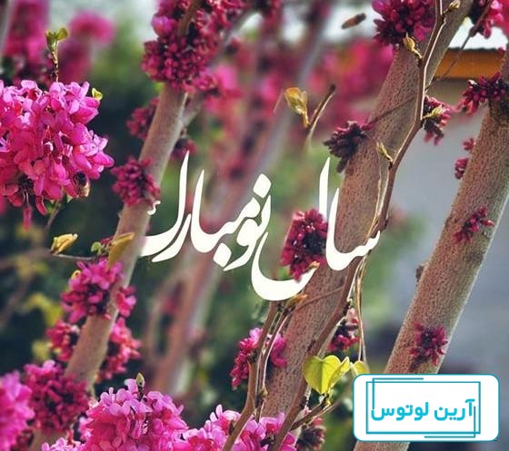 عکس پروفایل خاص ۱۴۰۳ با سوژه های جذاب و لاکچری