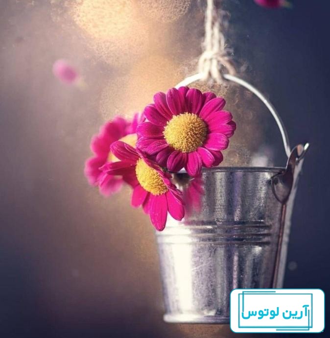عکس پروفایل دختر + تصاویر بدون نوشته از دختر با موضوعات مختلف برای  اینستاگرام و تلگرام