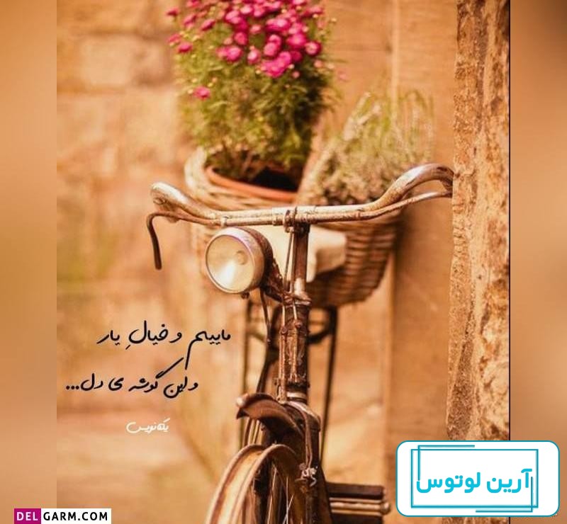 عکس پروفایل دخترانه + عکس شیک با متن و بدون متن
