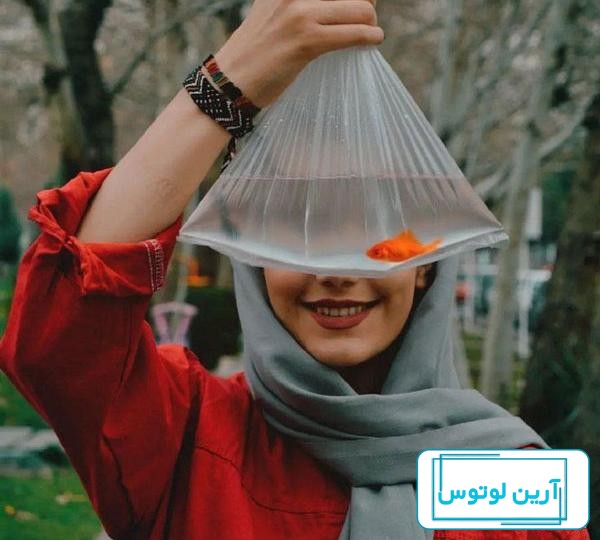 عکس پروفایل عید نوروز : زیباترین تصویر پروفایل اینستاگرام و تلگرام