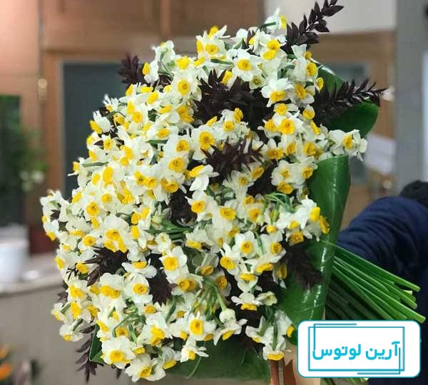 100 عکس پروفایل گل برتر سال ۱۴۰۴ جدید | پروفایل گرام