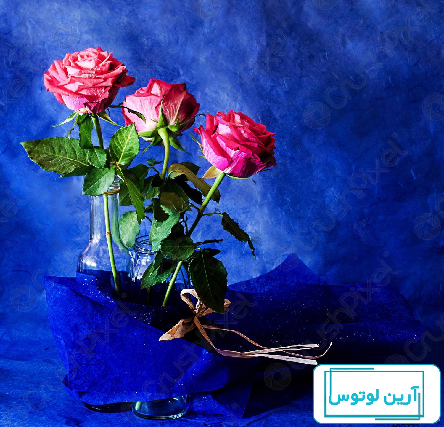 عکس گل آبی برای پروفایل واتساپ