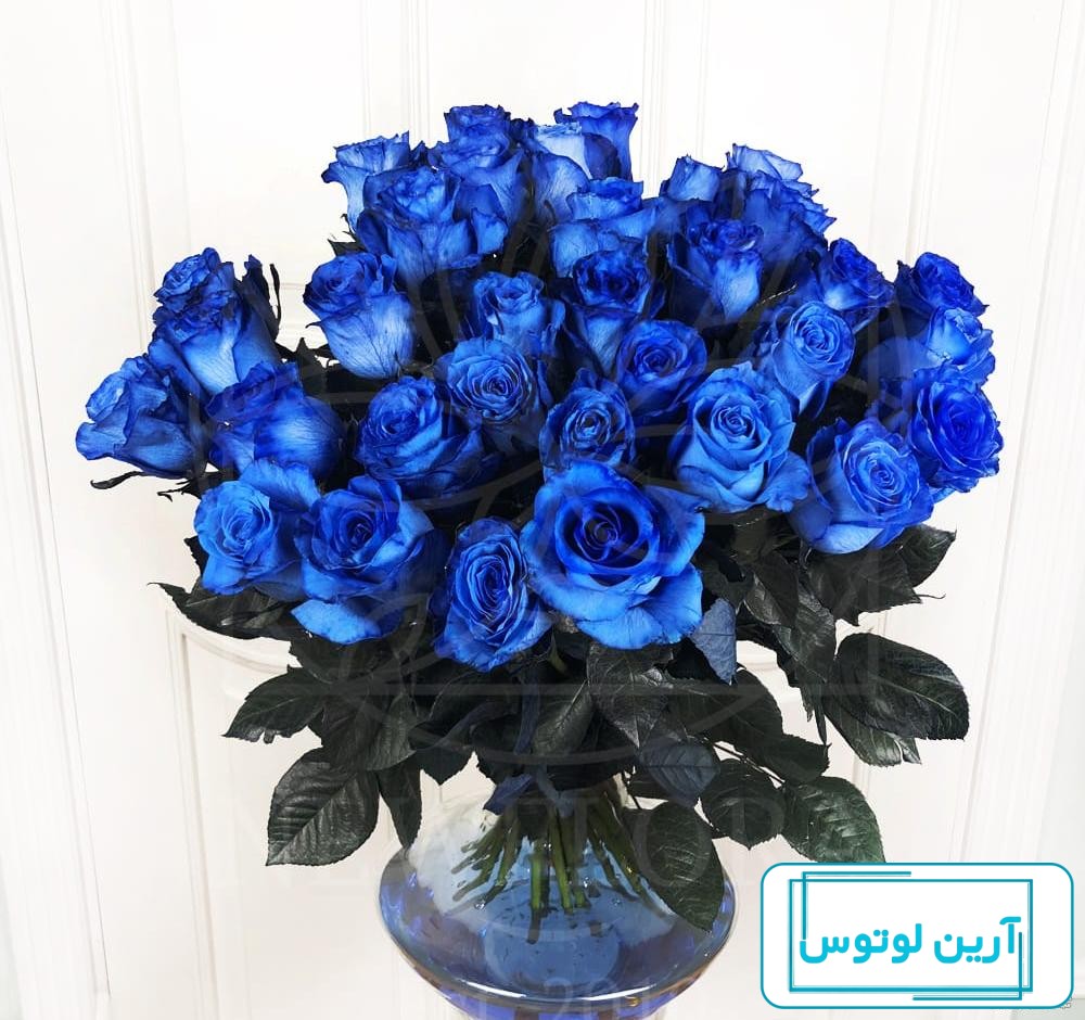 عکس گل آبی پروفایل