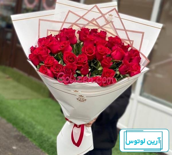 85 عکس گل رز با رنگ های زیبا و خاص