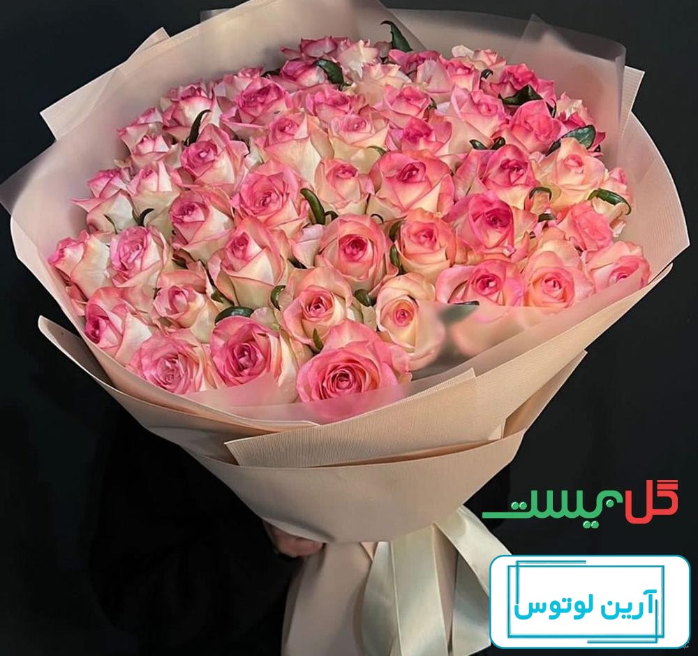 عکس گل رز برای روز معلم
