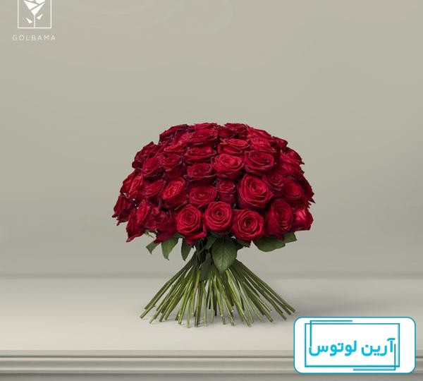 عکس گل رز برای پروفایل تلگرام و اینستاگرام • مجله تصویر زندگی