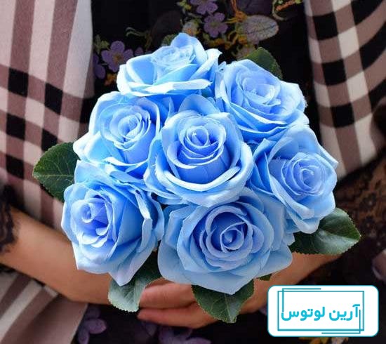 عکس گل نیلوفر آبی برای پروفایل
