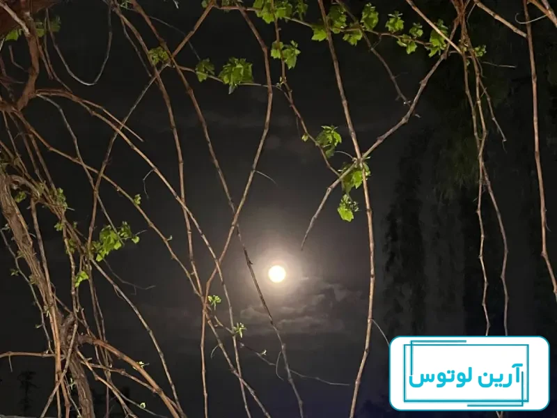 ماه زیبا در آسمان - تصاوير بزرگ - بهار نیوز