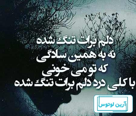متن و عکس نوشته دلتنگی - عکس پروفایل دلتنگی دوری | استوری دلم تنگ شده 2023