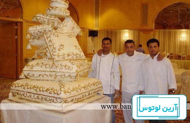 مدل های کیک عروسی خنده دار و بامزه