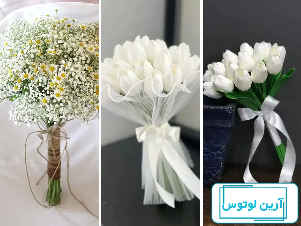 معرفی گل ژیپسوفیلا | بررسی تاریخچه و نماد گل ژیپسوفیلیا