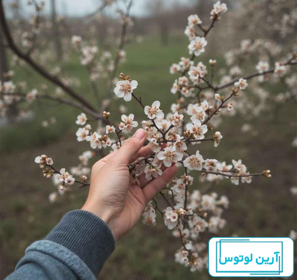 پروفایل بهاری دخترانه جدید و خاص | عکس دختر در فصل بهار
