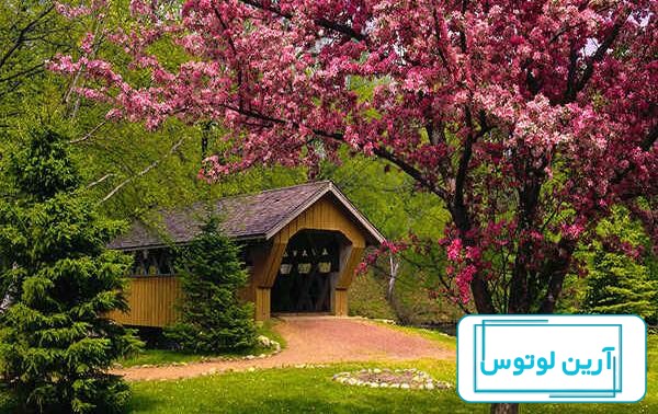 پوسترهای آغاز فصل بهار
