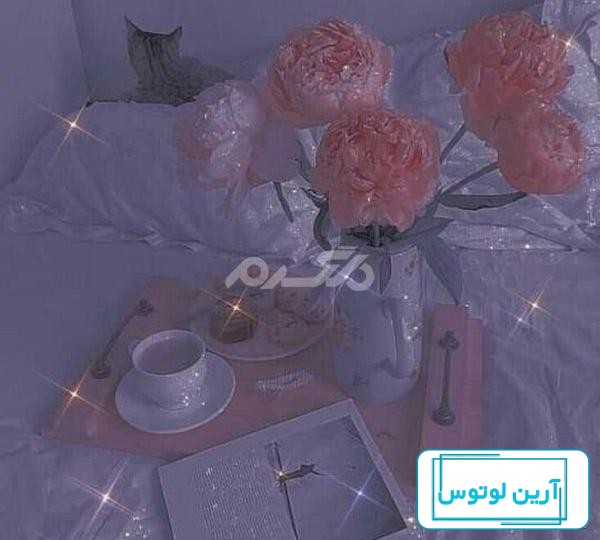۳۰ عکس کیوت دخترانه گوگولی و فانتزی جدید ۱۴۰۳ برای پروفایل