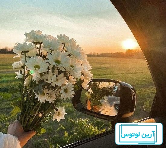 ۷۰ عکس پروفایل بهاری پرانرژی و دلنشین
