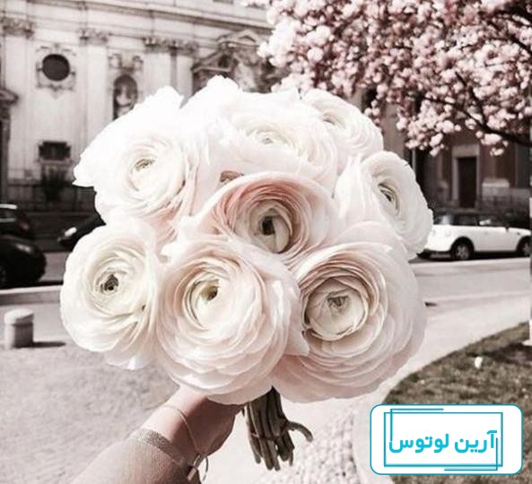 ۷۰ عکس پروفایل بهاری پرانرژی و دلنشین